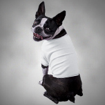 Hunde-Shirts - Learn More